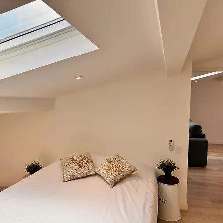 Lägenhet Neala- 4/6 Pers - Standing Neuf Hyper Centre Saint-Raphaël