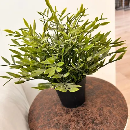 Neala- 4/6 Pers - Standing Neuf Hyper Centre *