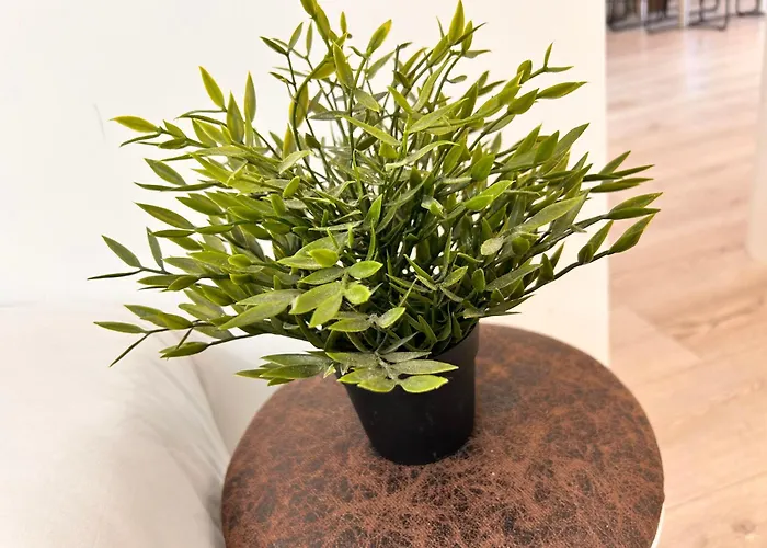 Neala- 4/6 Pers - Standing Neuf Hyper Centre *